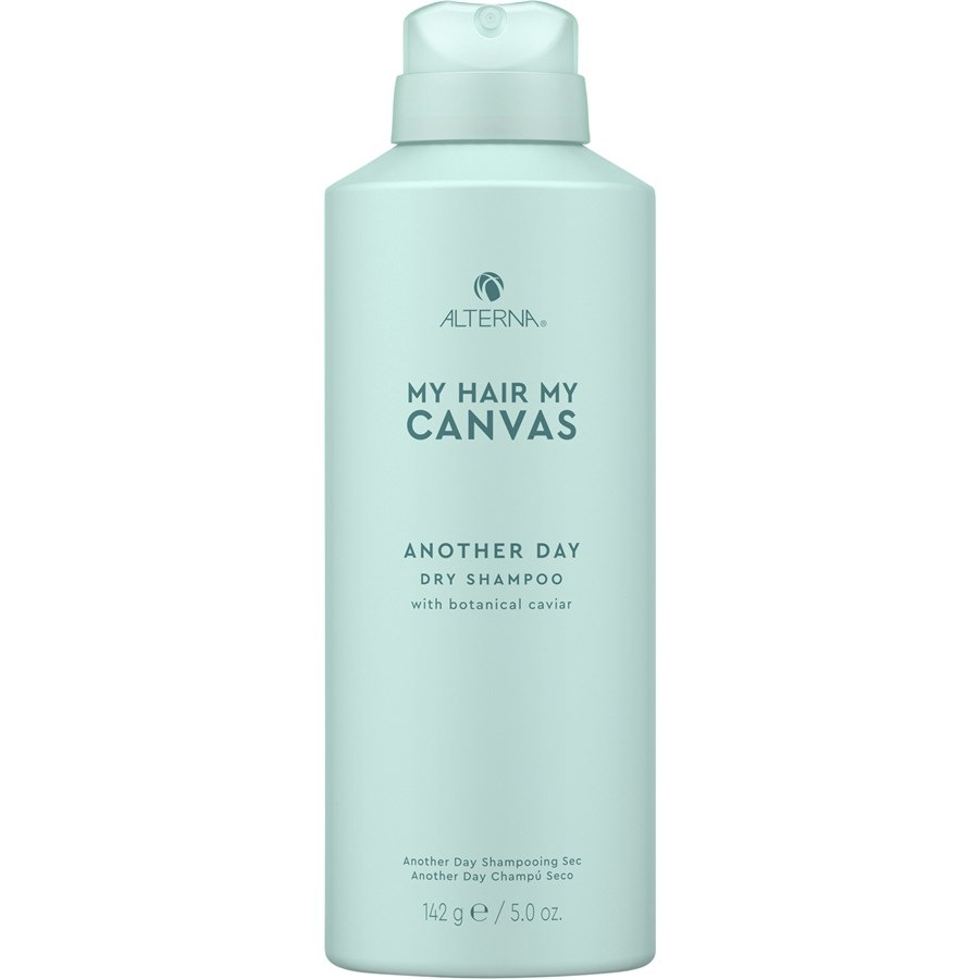 Another Day Dry Shampoo