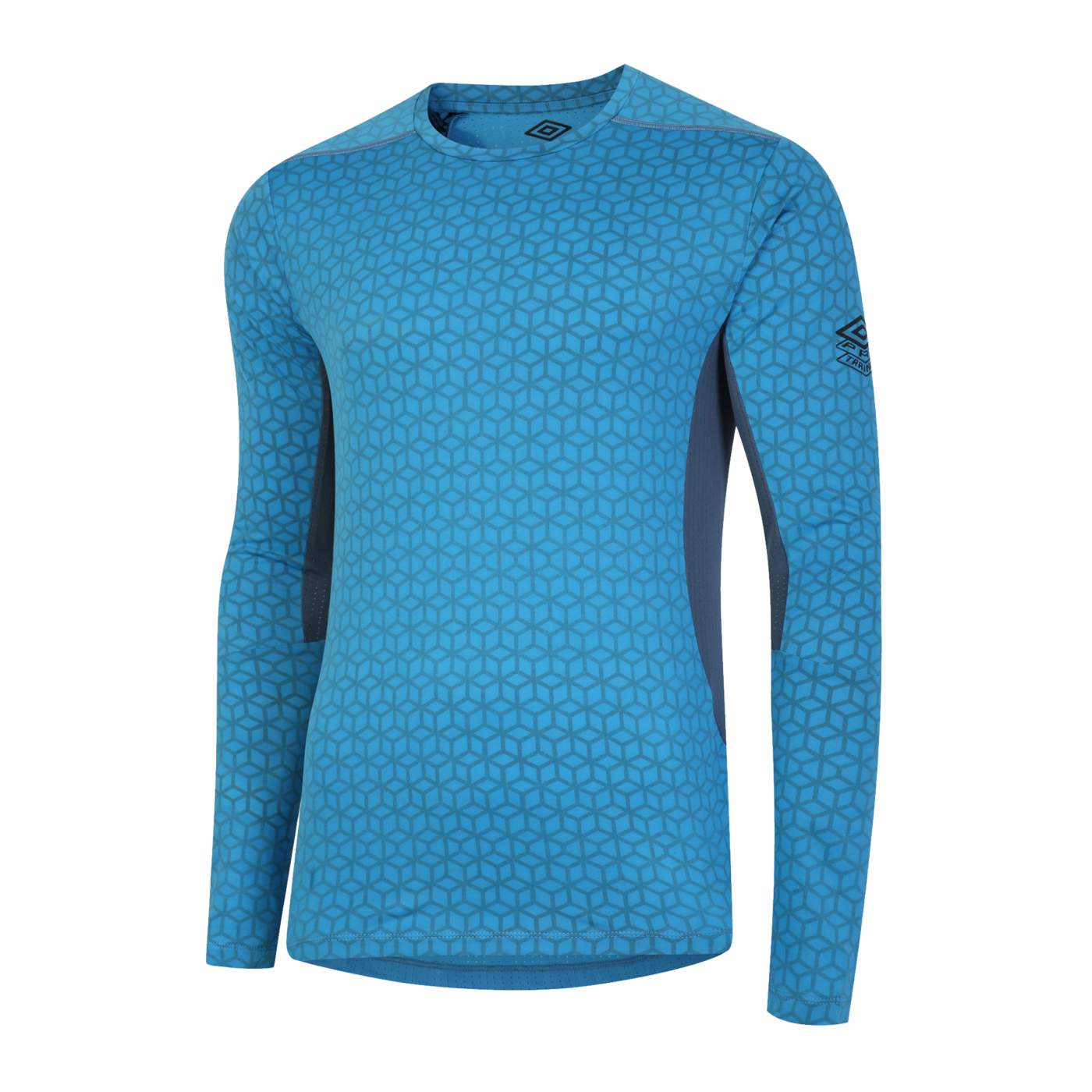 Umbro Pro Training Elite Sweatshirt Blau FLKQ