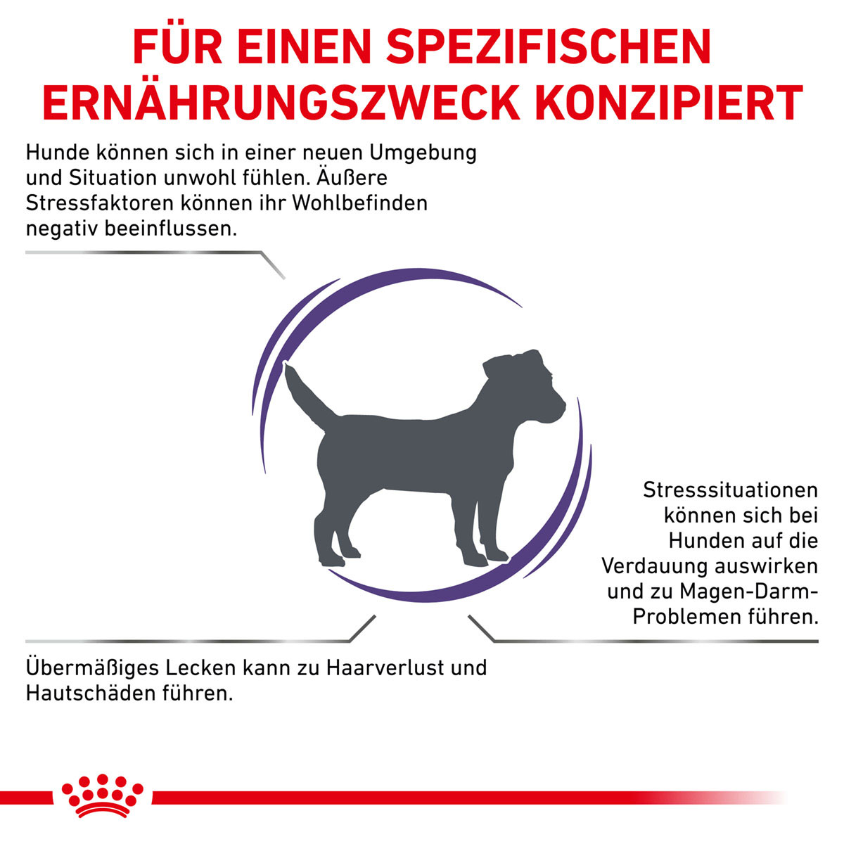 ROYAL CANIN Expert CALM SMALL DOGS Trockenfutter für Hunde