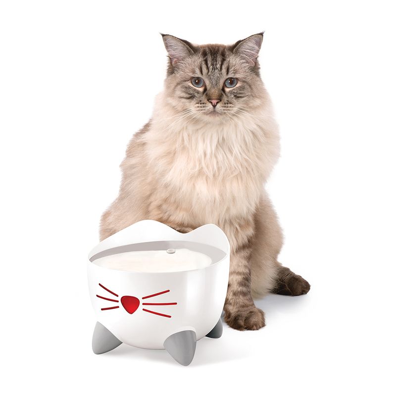Catit PIXI Trinkbrunnen - Edelstahl zu TOP-Preisen
