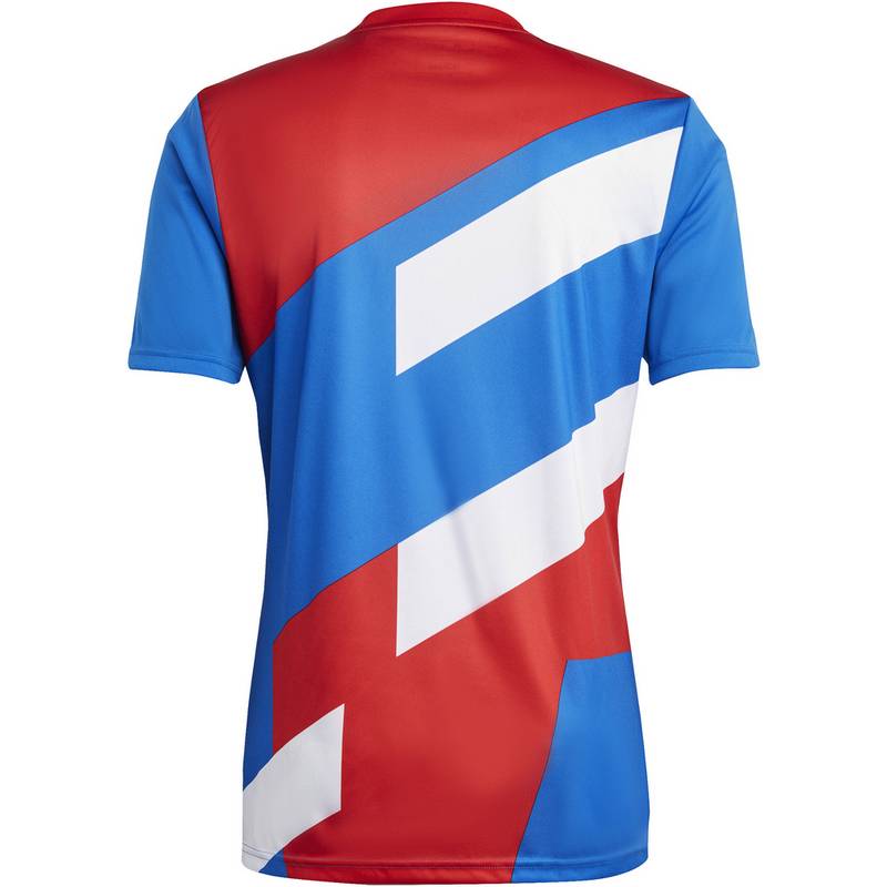 adidas FC Bayern München Prematch Funktionsshirt Herren