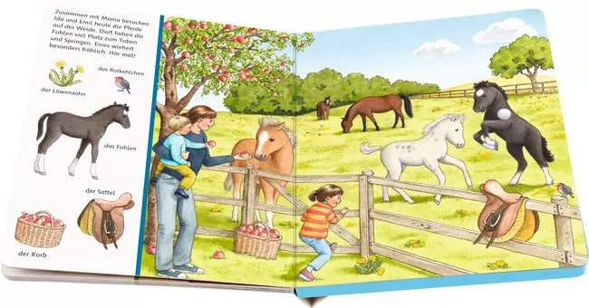 Sachen suchen, Sachen hören: Bei den Tierkindern
