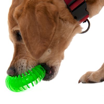 Hundespielzeug TPR Ring