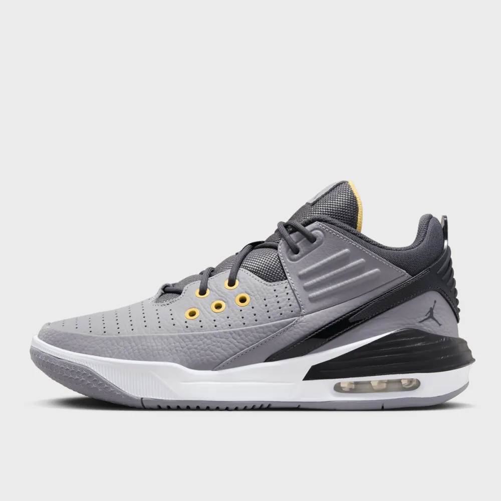 NIKE JORDAN Max Aura 5 DZ4353-007 / grau