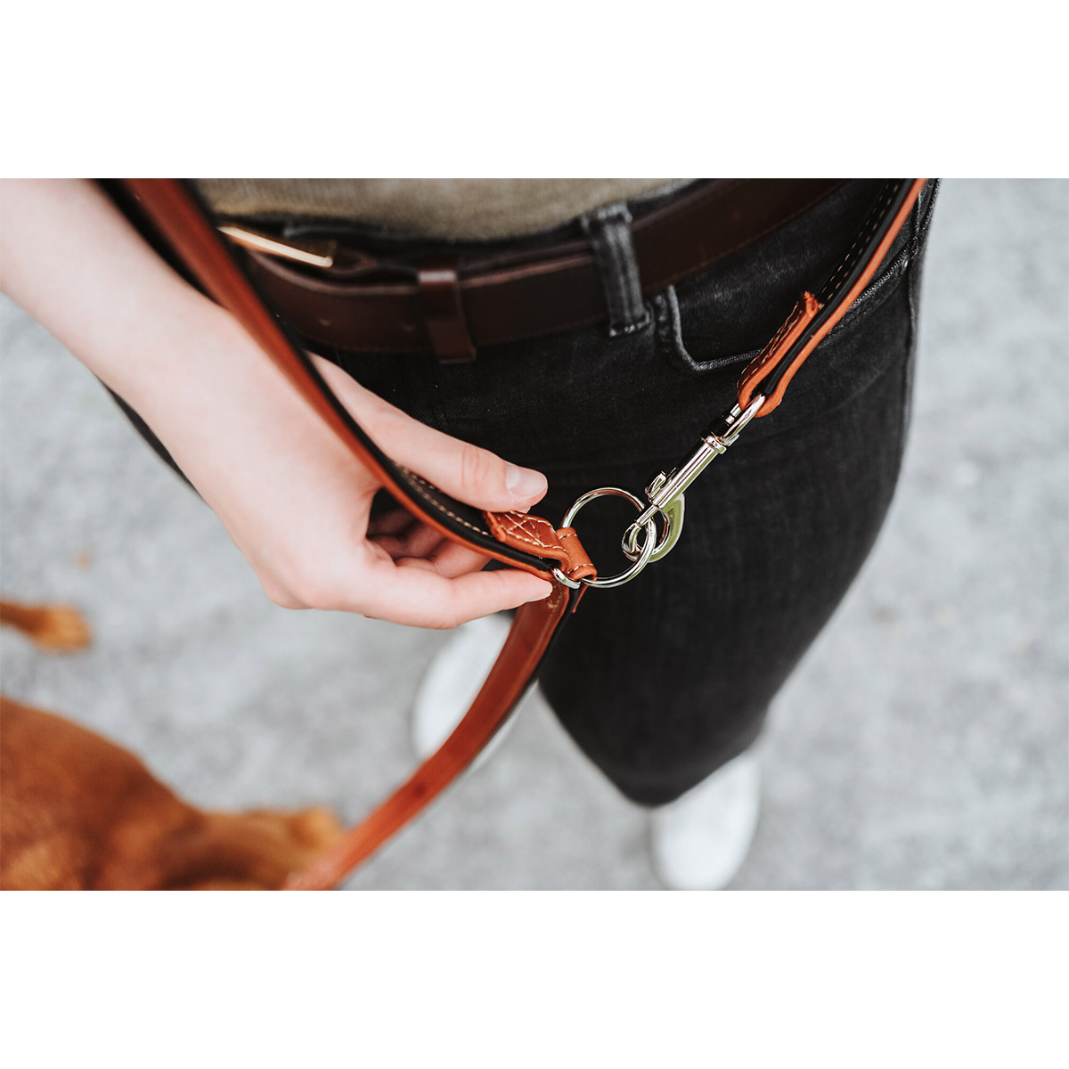 Hunter verstellbare Leine Canadian Up cognac/schwarz bei ZooRoyal