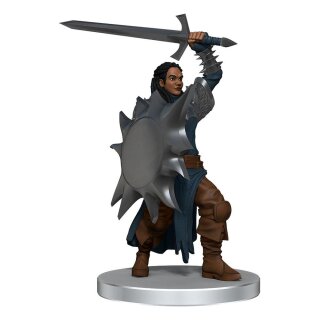 D&D Icons of the Realms Miniaturen: Dragon Army Warband (pre-painted)