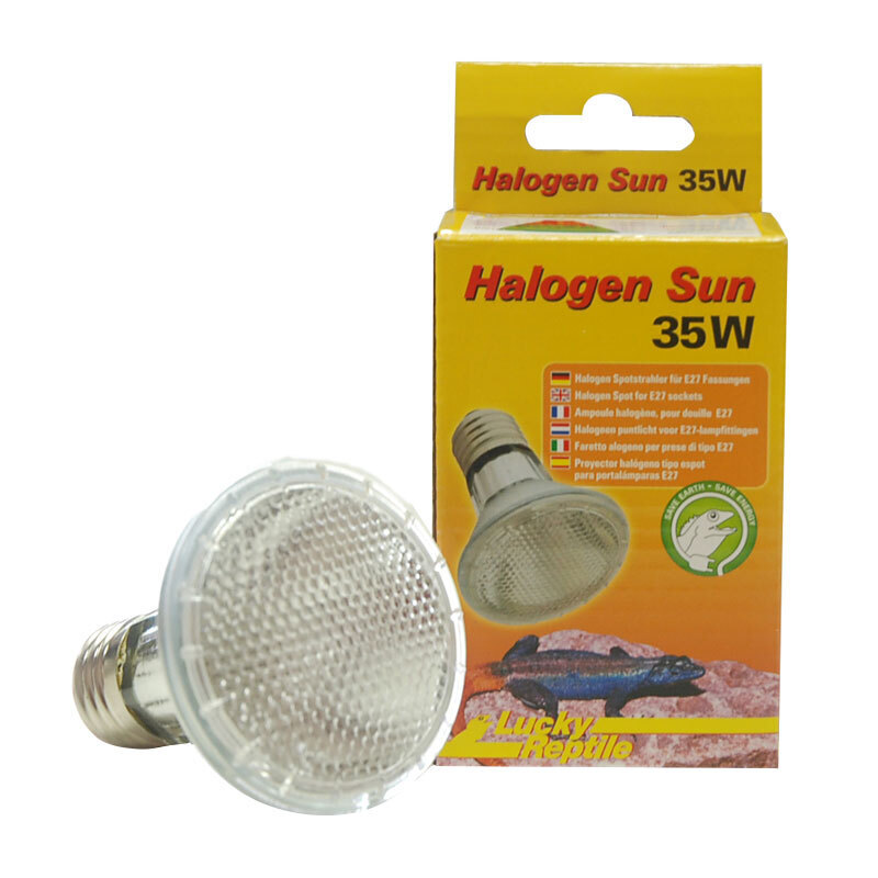 Lucky Reptile Beleuchtung Lucky Reptile Halogen Sun 35 W