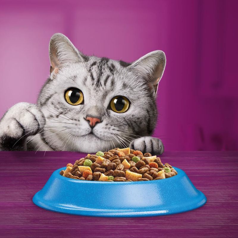 Mix-Sparpaket Whiskas 1+ 2 x 3,8 kg zu TOP-Preisen