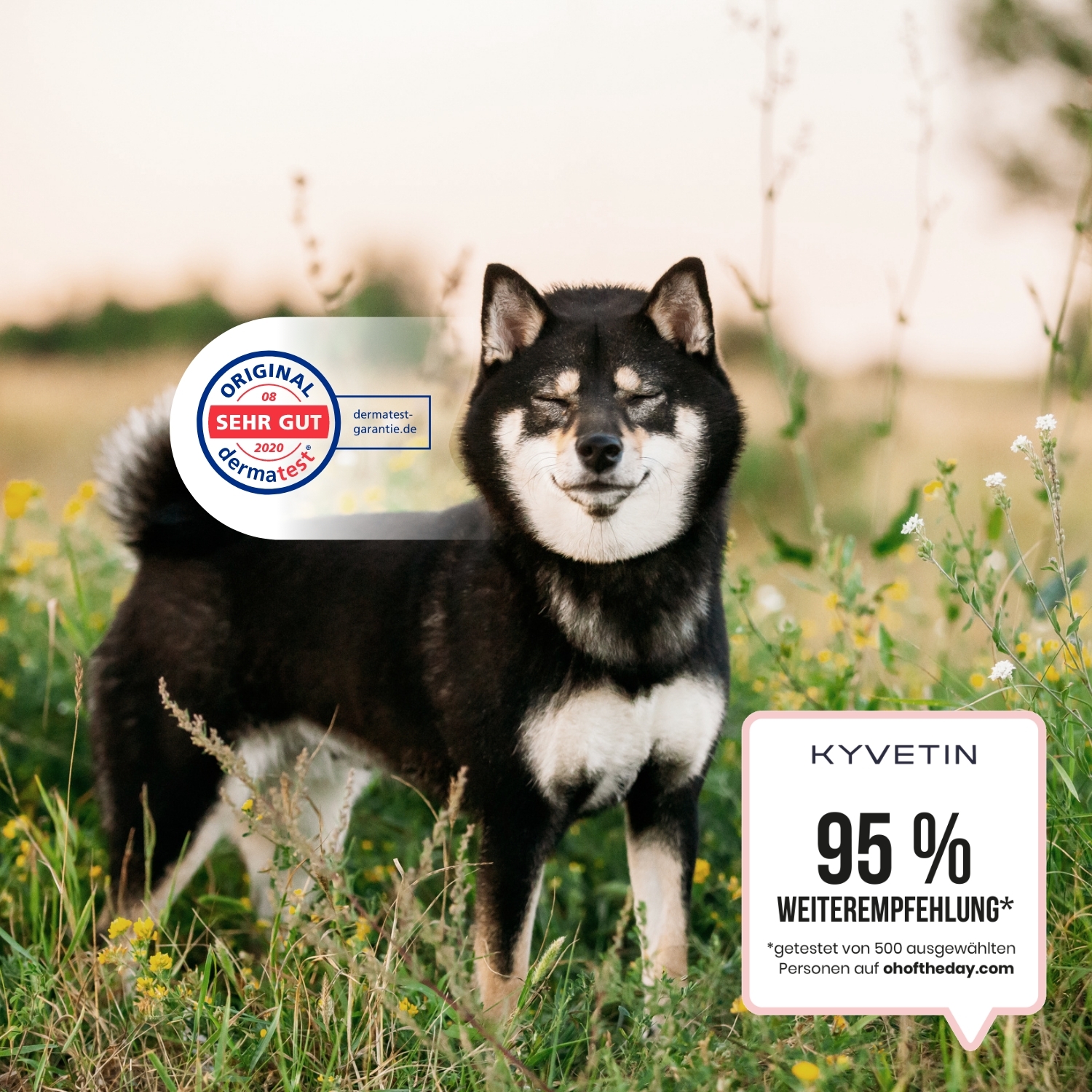 KYVETIN Fellpflege KYVETIN Spray Skin Repair für Hunde und Katzen