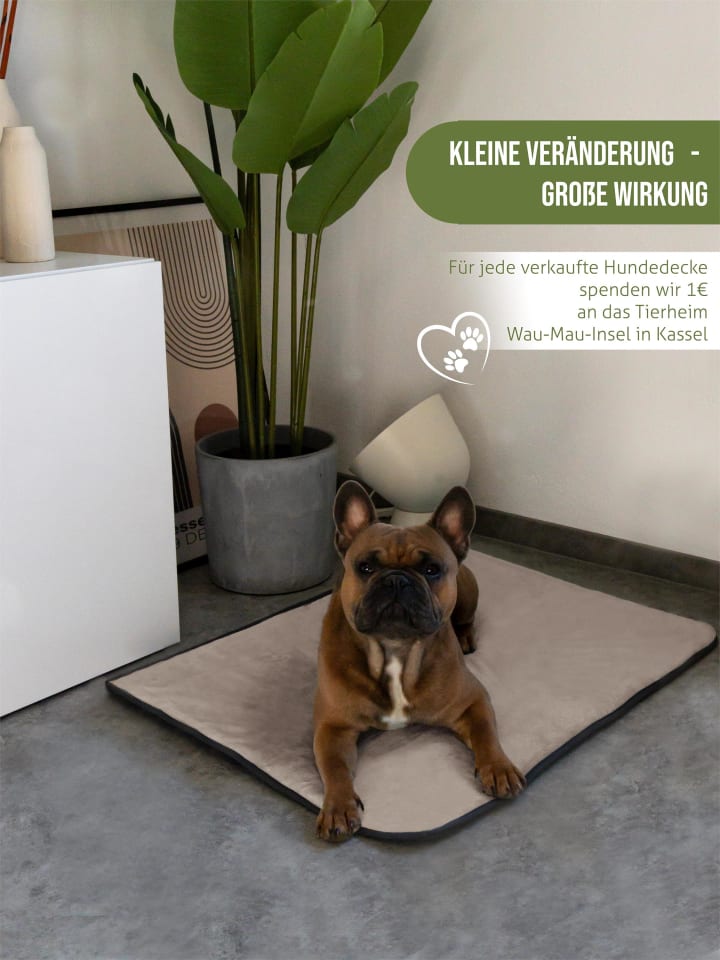 Aspero Hundedecke Lund in Beige günstig kaufen