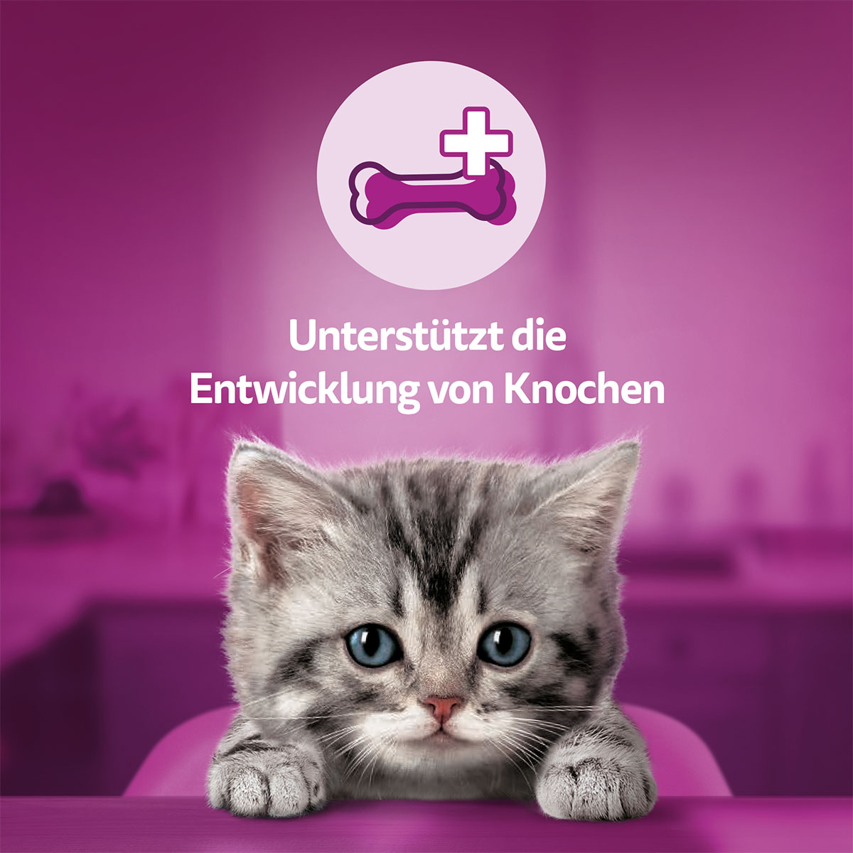 Whiskas Milch-Kätzchen günstig kaufen