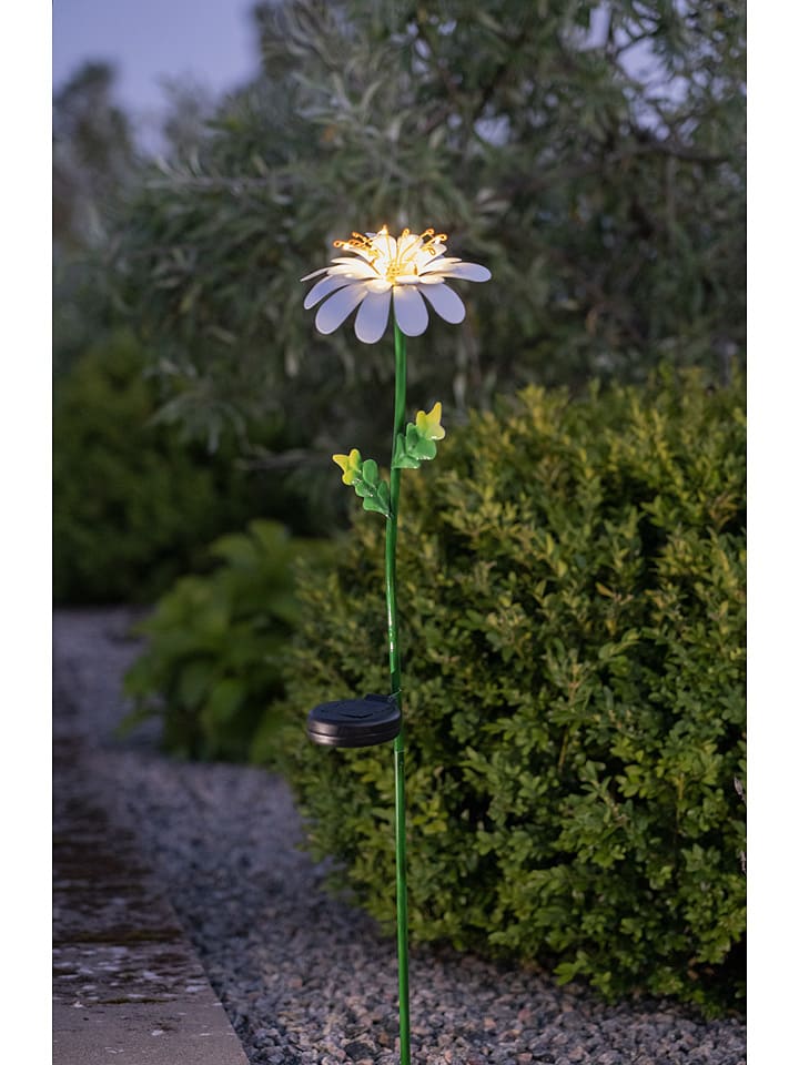 STAR Trading LED-Solar-Gartenstecker in Grün/ Weiß günstig kaufen onesize