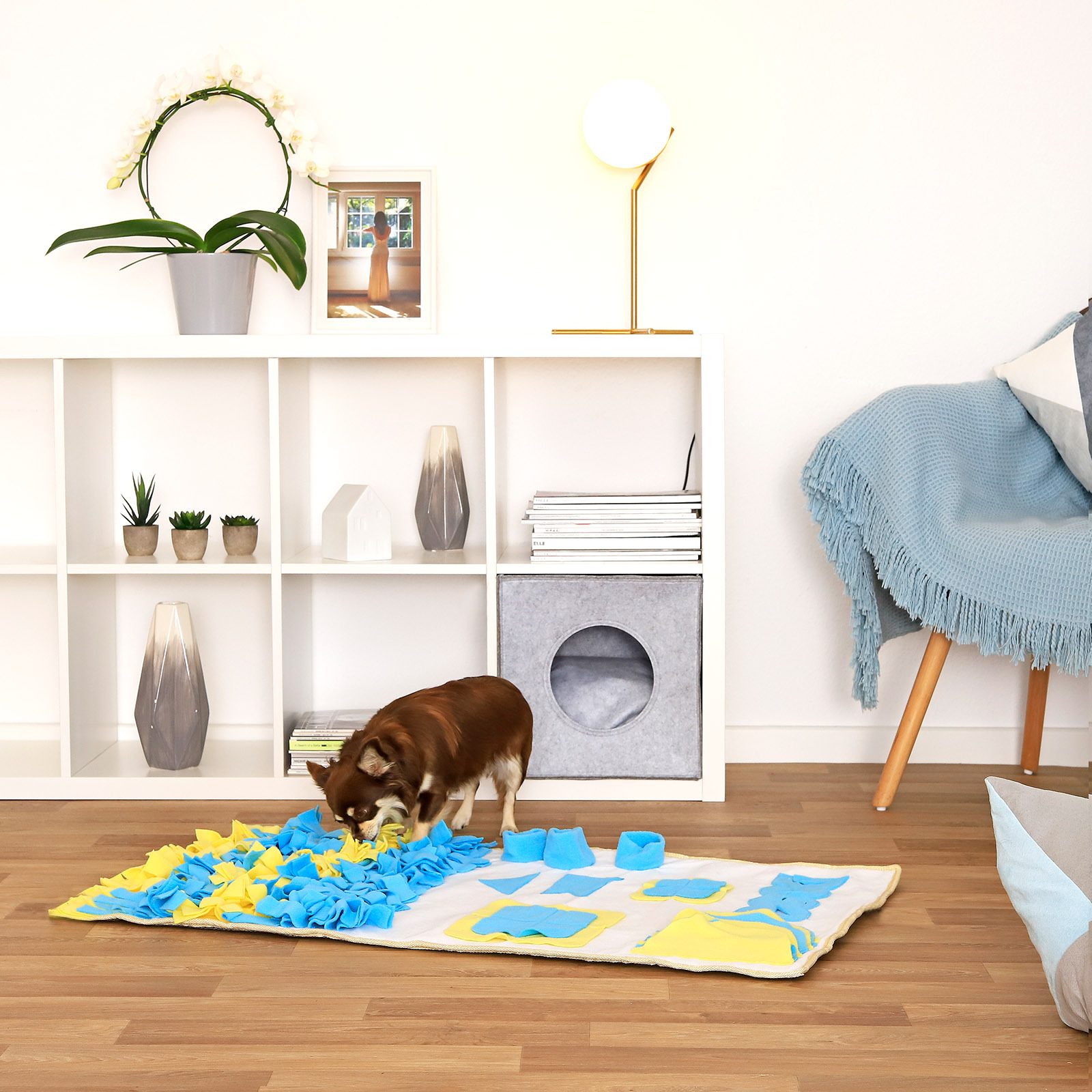 Lionto Intelligenzspielzeug Lionto Schnüffelteppich für Hunde blau