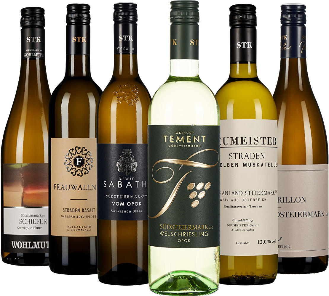 WEIN & CO Steiermark Probierpaket