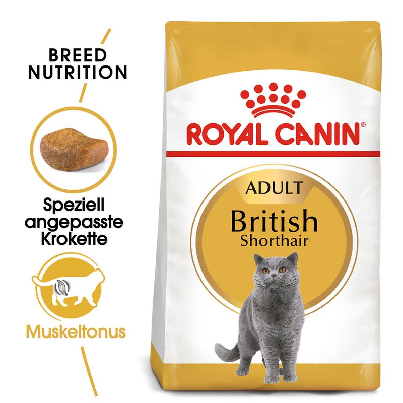 Royal Canin British Shorthair Adult zu TOP-Preisen | bitiba