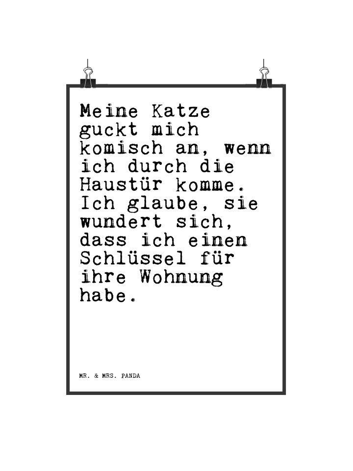 Mr. & Mrs. Panda Poster Meine Katze guckt mich... mit Spruch in Weiß günstig kaufen