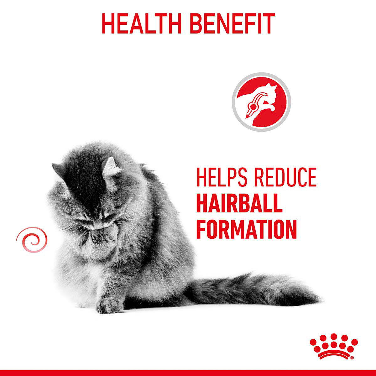 Royal Canin FCN Hairball Care Jelly günstig kaufen bei ZooRoyal