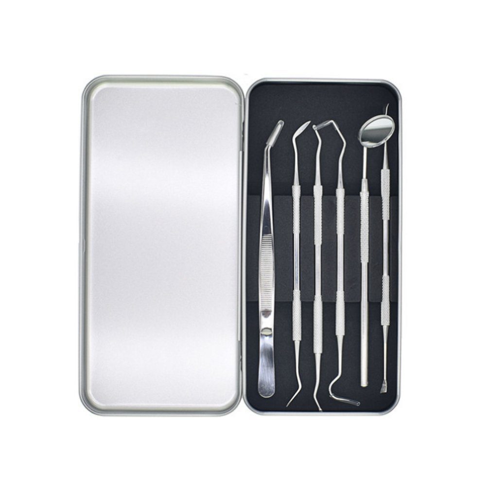 EBUY Zahnpflege-Set Profi-Set für Zahnpflege Edelstahl 6-teilig Silber, 6-tlg.