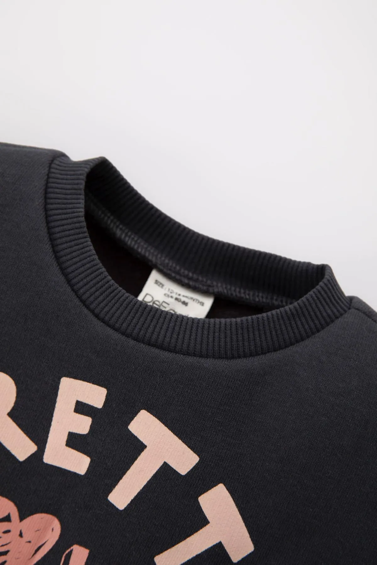 DeFacto  Bedrucktes, weiches, pelziges Innen-Sweatshirt mit Rundhalsausschnitt für Babys (Mädchen) A9929a523au