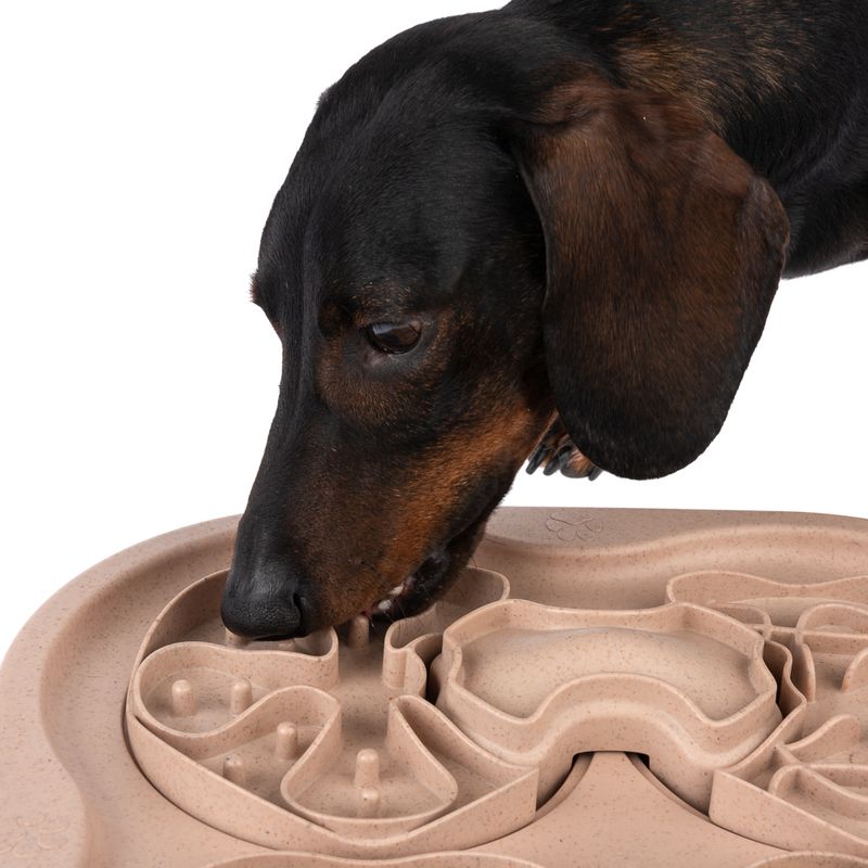 TIAKI Intelligenzspielzeug Slow Feed Puzzle