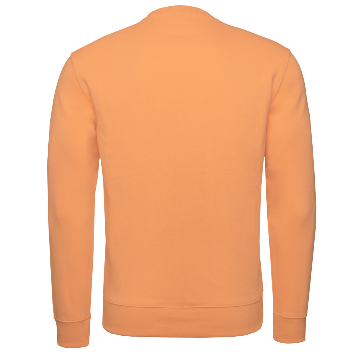 Champion Crewneck Sweatshirt orange