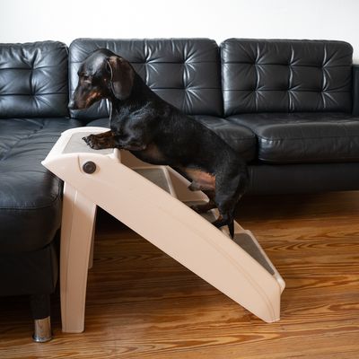 Hundetreppe Easy Up Stairs