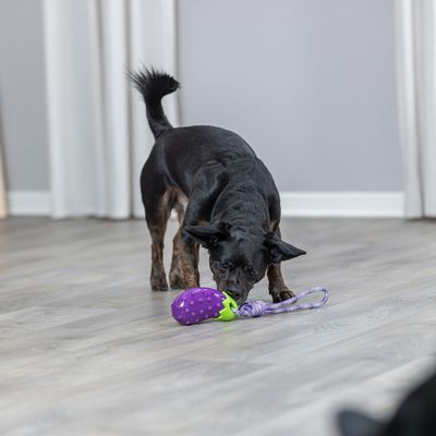 Trixie Hundespielzeug Aubergine am Seil