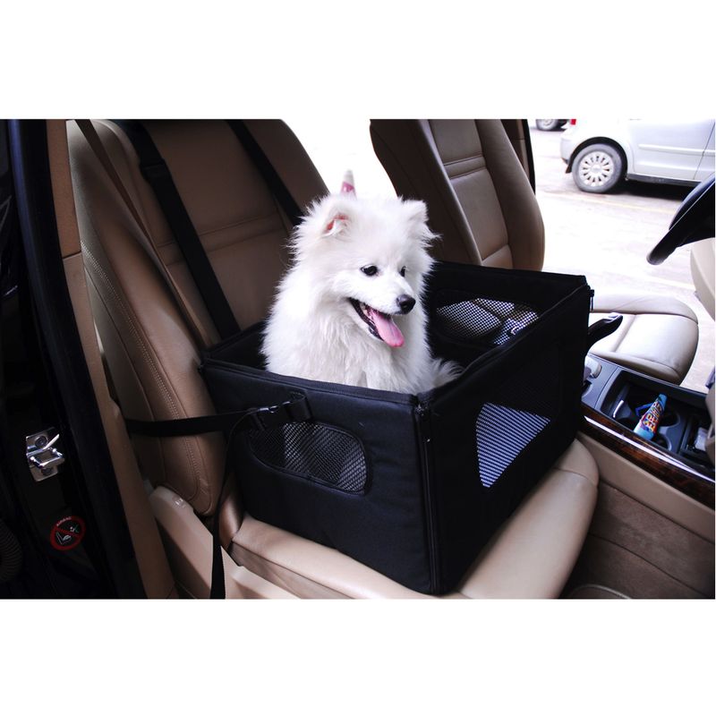 Autositz für kleine Hunde zu TOP-Preisen