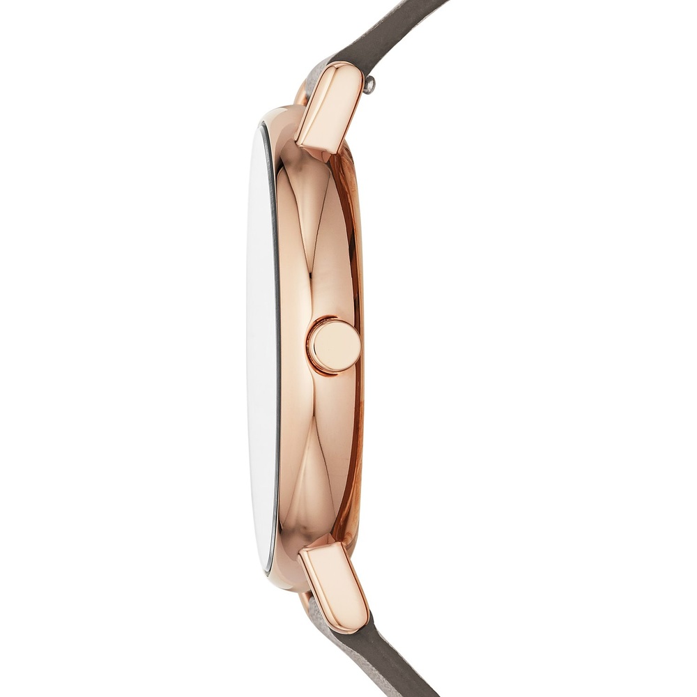 Skagen Montre pour femme Acier inoxydable Montre