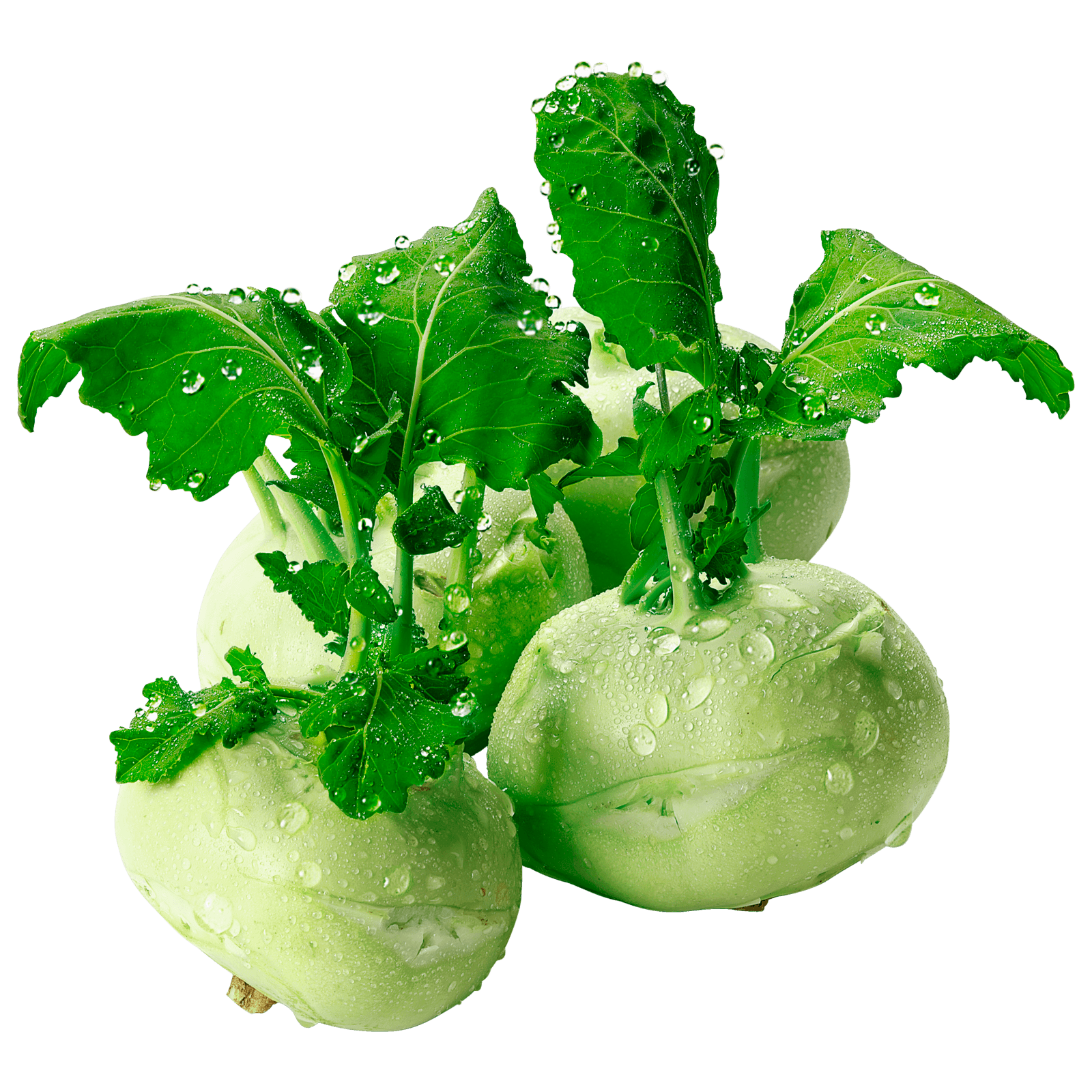Kohlrabi 1 Stück
