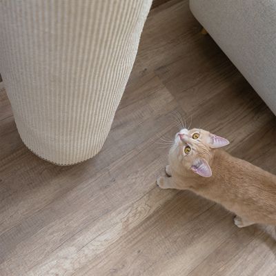 Kerbl Pet Klettersack Climber Mini für Katzen