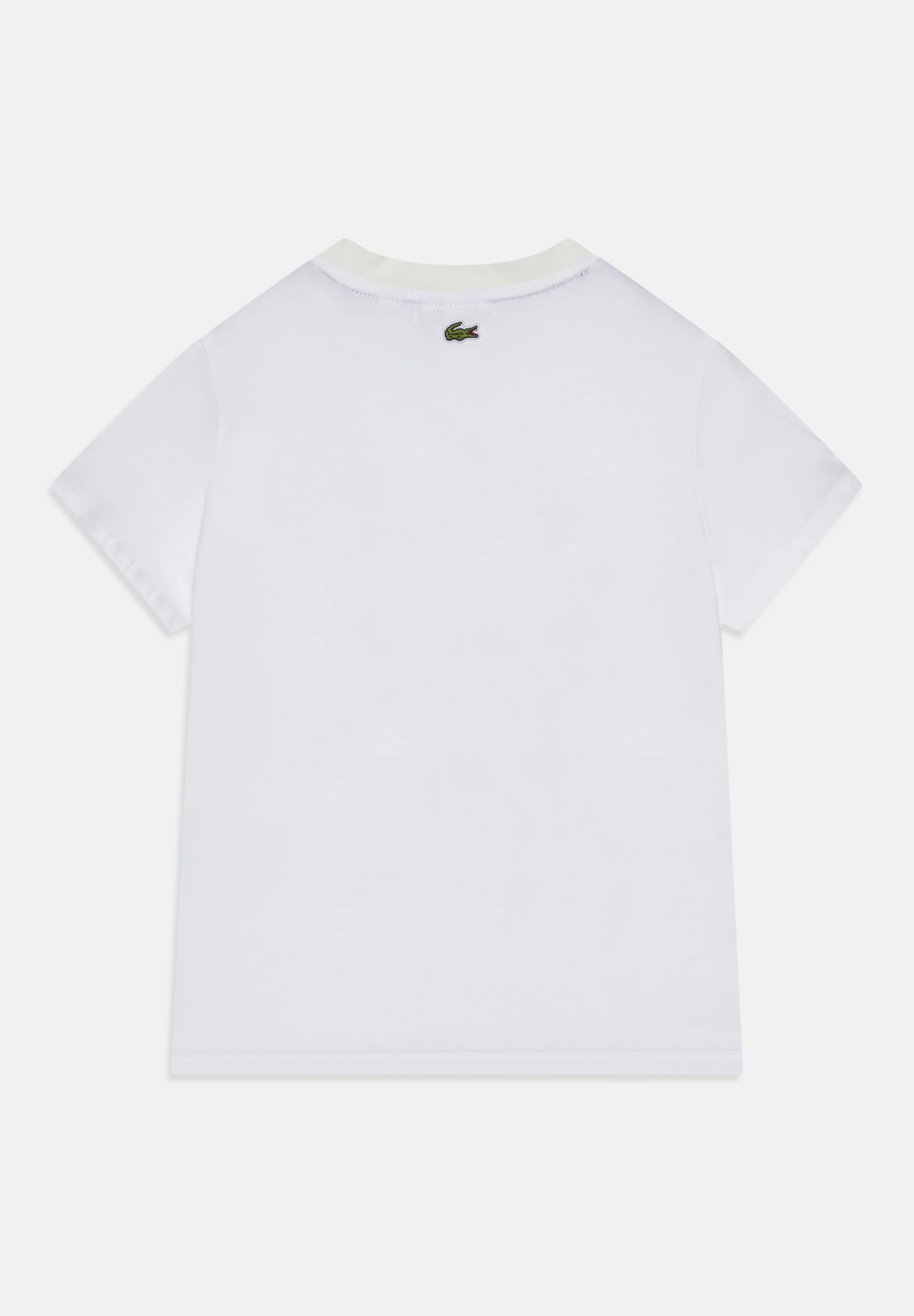 Lacoste TEE BIG CROCO AND SCRIPT - Camiseta con estampado