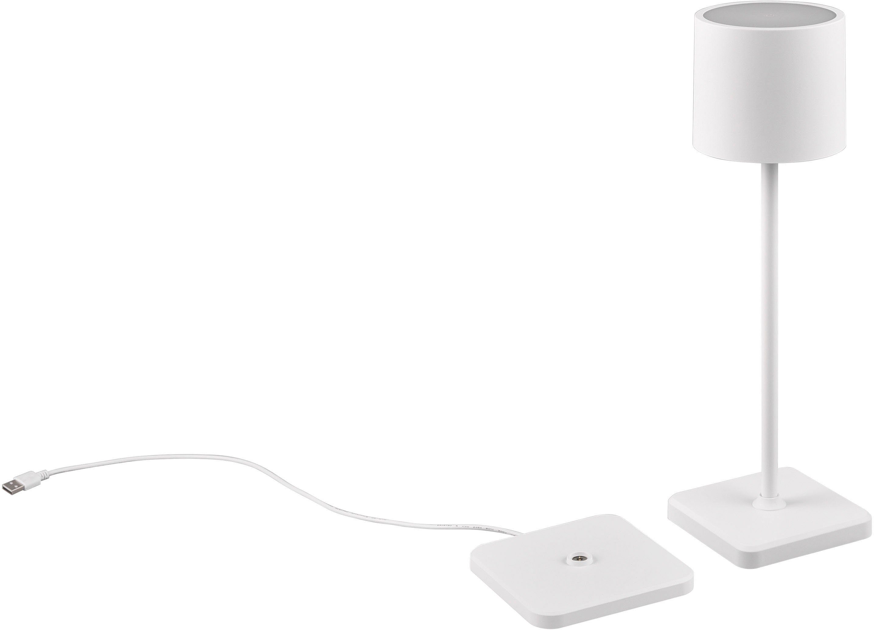 TRIO Leuchten LED Außen-Tischleuchte Fernandez, Dimmfunktion, USB-Ladefunktion, LED fest integriert, Farbwechsler, warmweiß - kaltweiß, Garten Akku Tischlampe USB Ladestation dimmbar Lichtfarbe einstellbar