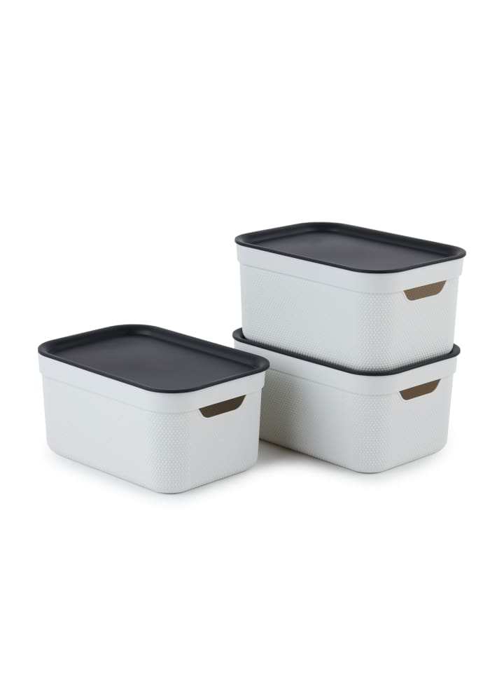 Rotho Jive Dekobox 3er-Set Aufbewahrungskorb 5l in Mistelweiß günstig kaufen onesize