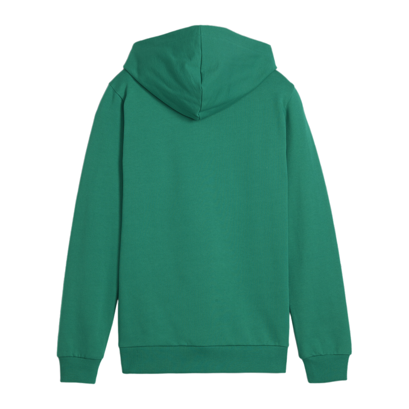 PUMA teamGOAL Casuals Hoody Kids Grün F05