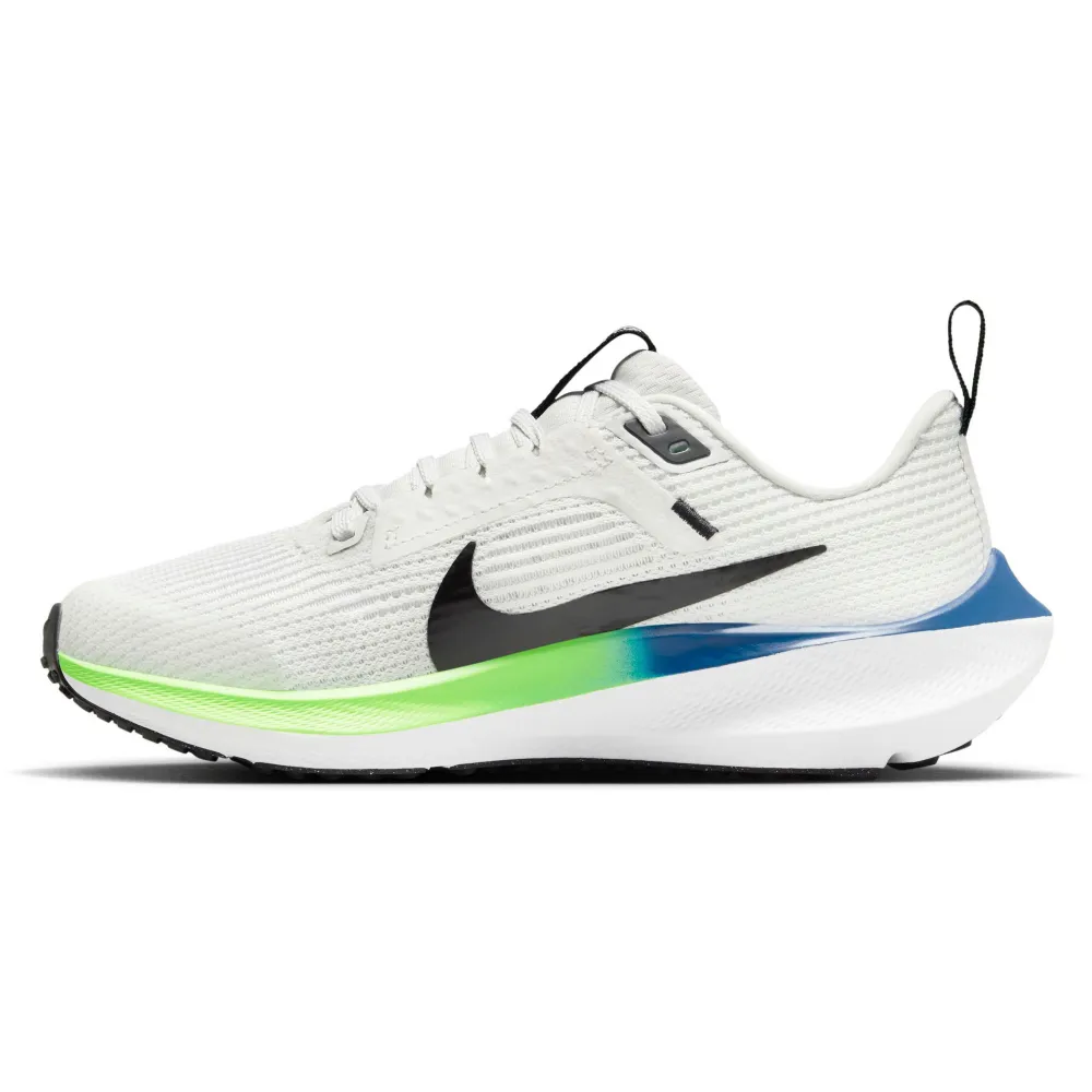 Nike Air Zoom Pegasus 40 DX2498-006 / grau