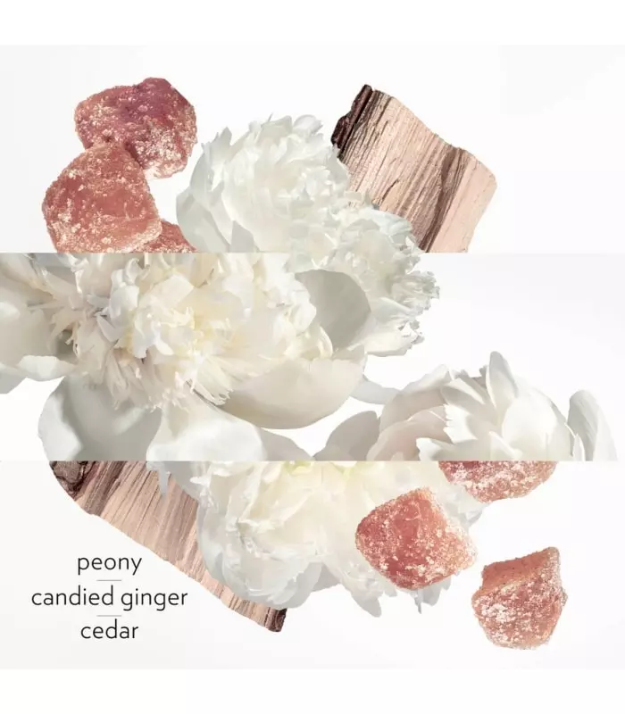 TWILLY D'HERMÈS EAU GINGER  Eau de Parfum