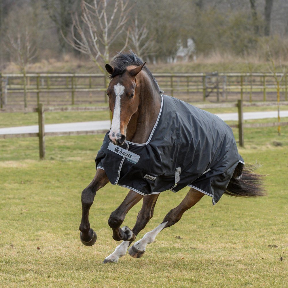 Bucas Pferde-Regendecke Bucas Anniversary Turnout Light SF 50g - Black/Silver