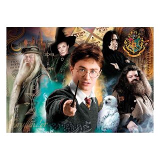 Harry Potter Puzzle - Harry at Hogwarts (500)