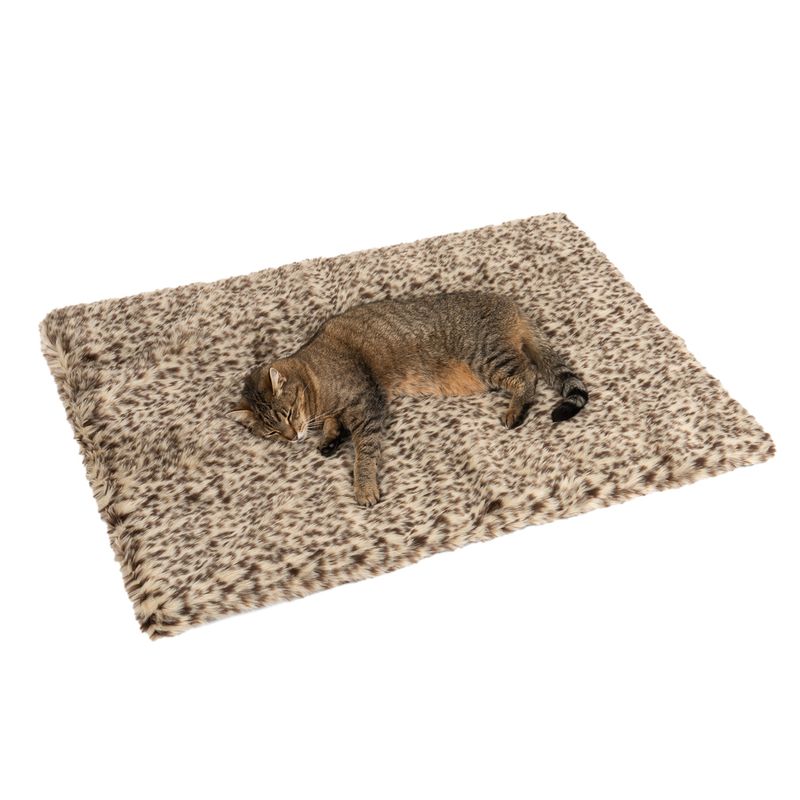 Kuscheldecke Leo zu TOP-Preisen