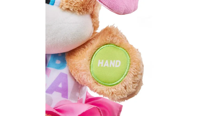 Fisher-Price Lernspaß Hundefreundin, Baby-Spielzeug, Kuscheltier, Lernspielzeug