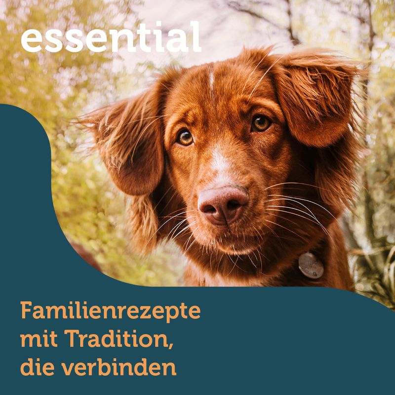 mera essential Adult mit Geflügel zu TOP-Preisen