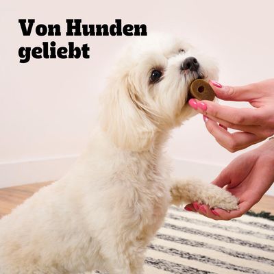 Pedigree Multivitamins Immunsystem