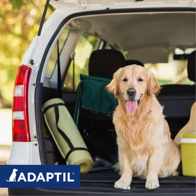 ADAPTIL® Transportspray