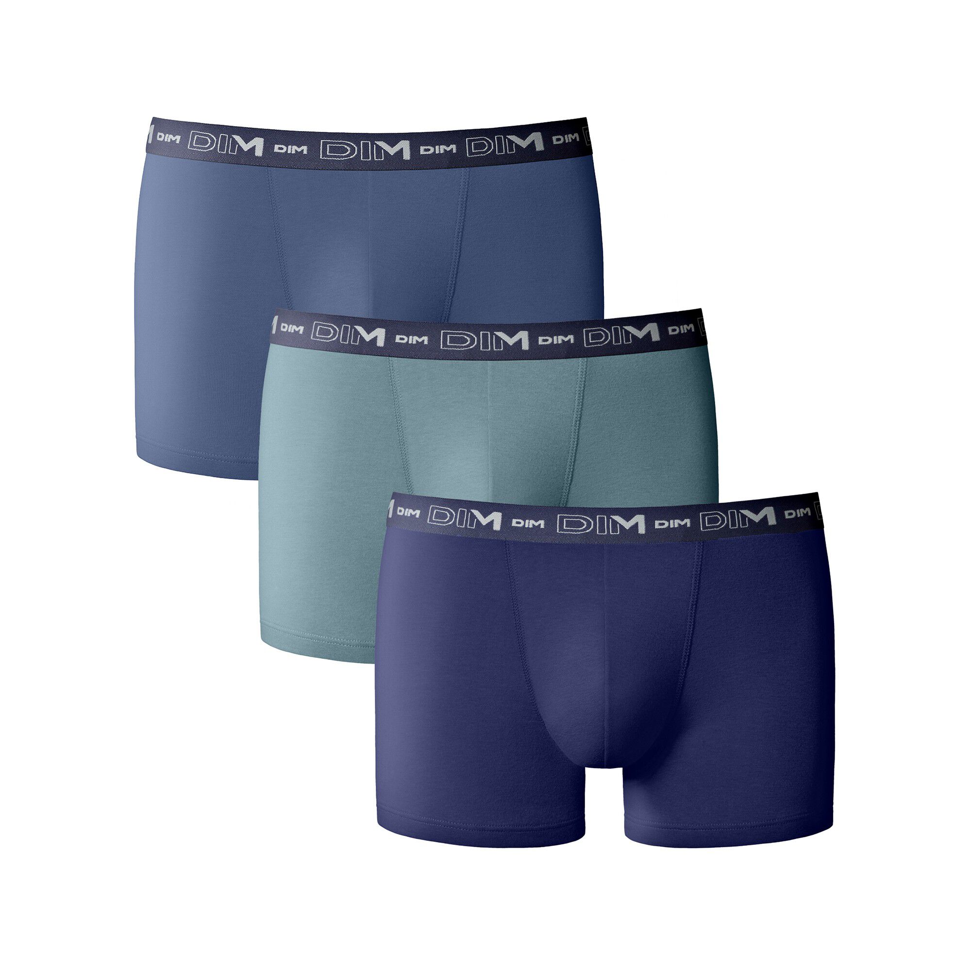 Boxer