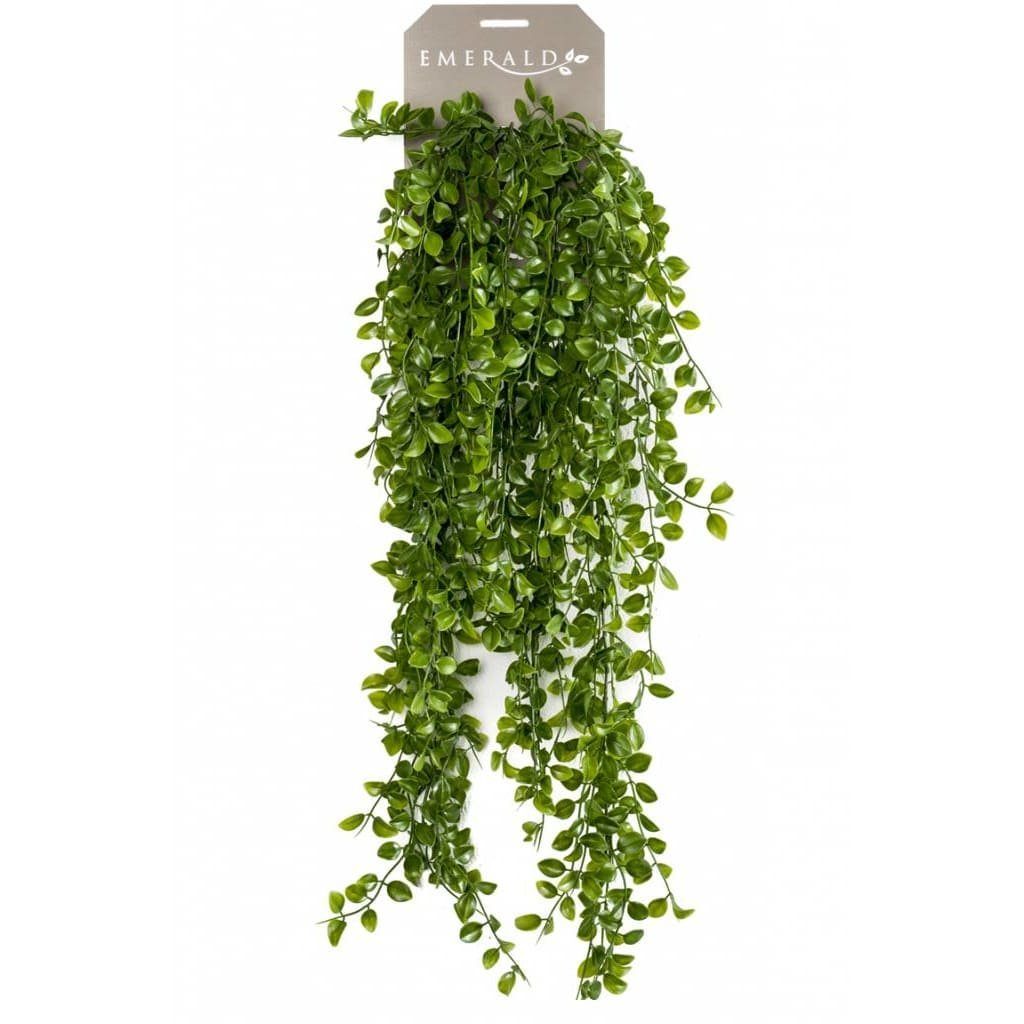 Kunstrasen Künstlicher Kletter-Ficus künstlich 80 cm, Emerald, Höhe: 80 mm