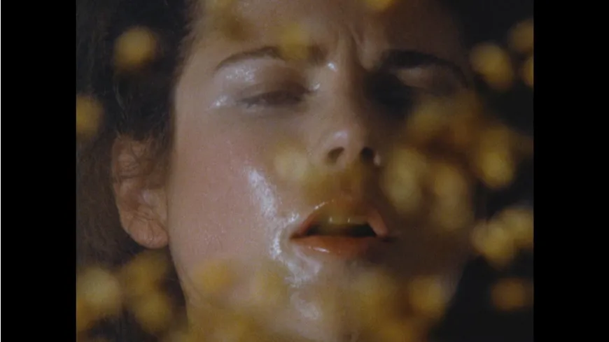 Killerbienen II - Die Mörderbienen greifen wieder an (Terror aus den Wolken / Terror Out of the Sky) (Filmjuwelen)