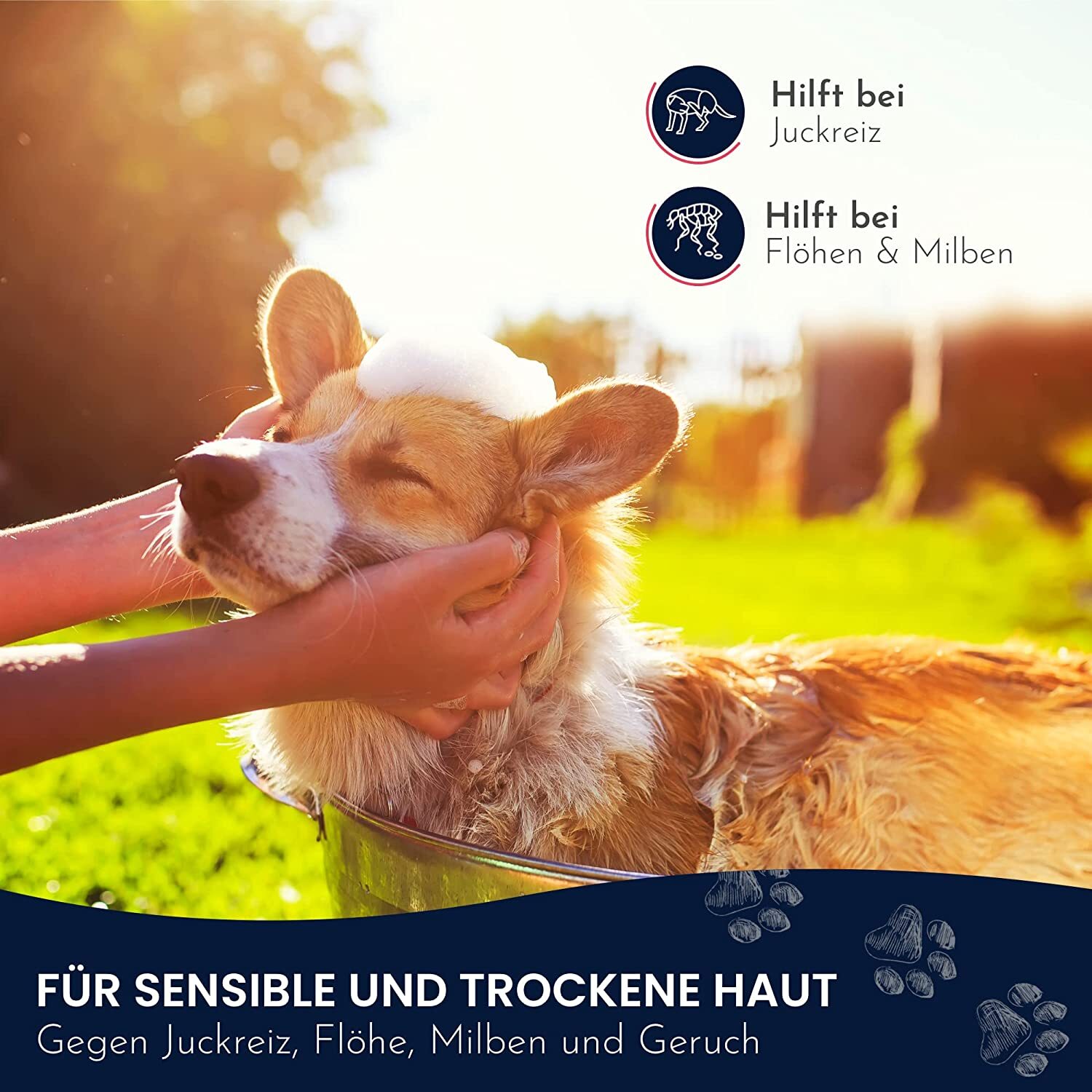 Pawlie's Fellpflege Pawlie's Sensitiv Hundeshampoo für Hunde