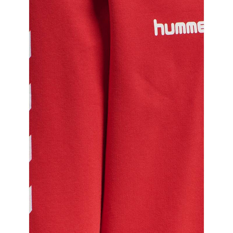 hummel HMLGO KIDS COTTON HOODIE Hoodie Kinder