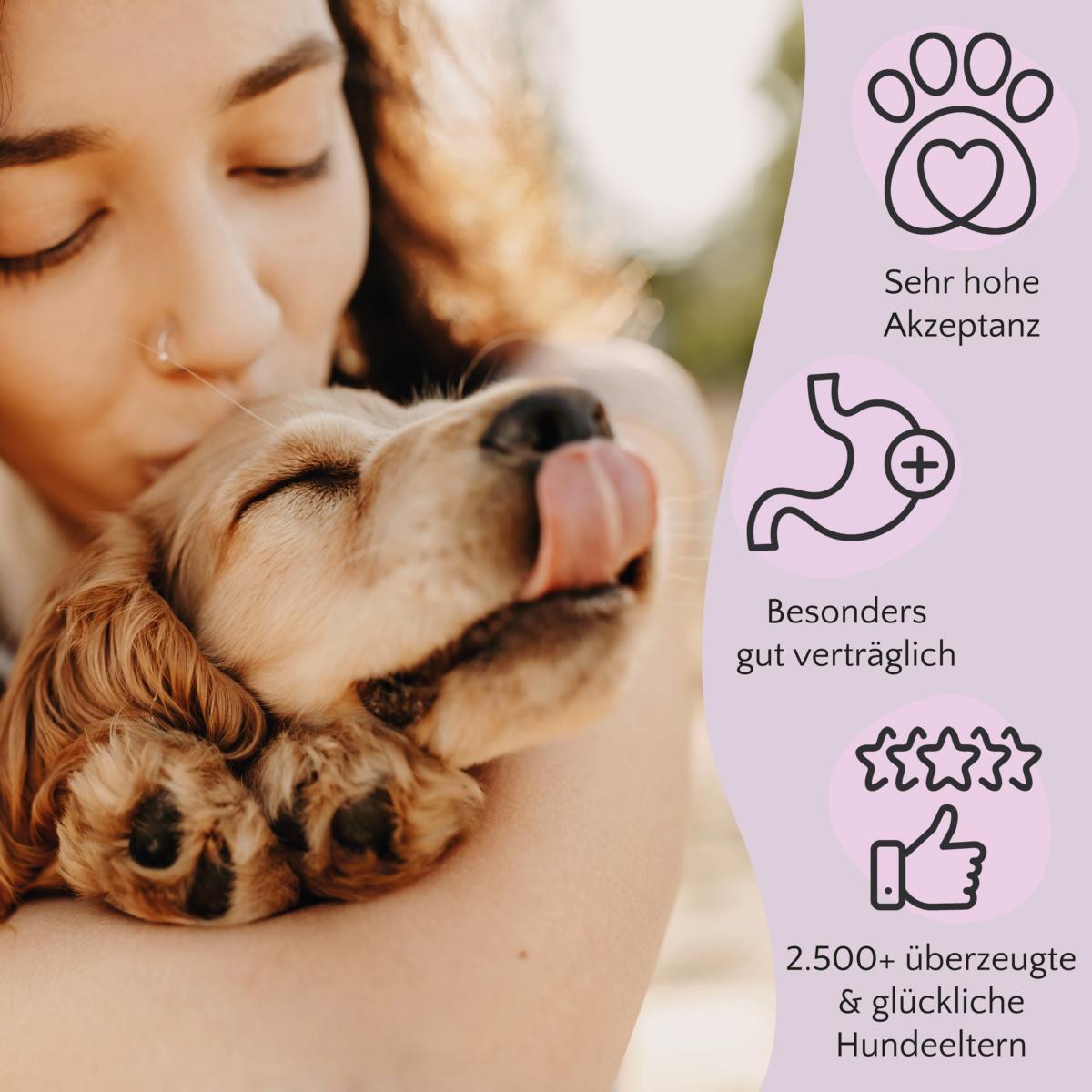FAVLY Petfood Hundenassfutter FAVLY Petfood Nassfutter Ente mit Hirse & Spinat 12x400 g